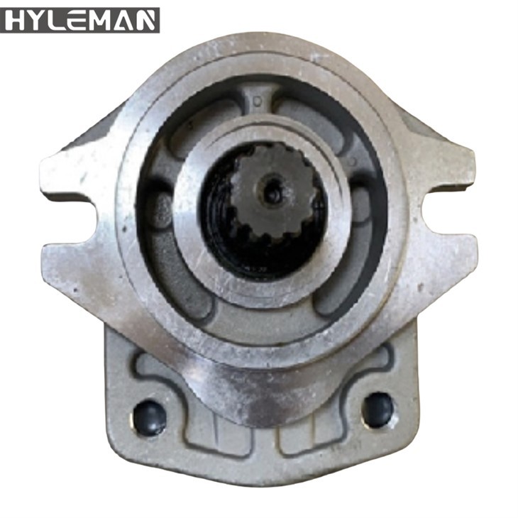 Sgp2-Pwmp Gêr Peilot Hydrolig 44D-L13t