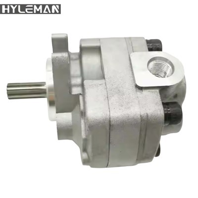 Mae pwmp gêr hydrolig yn ffitio 300-8