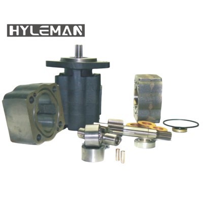 P30/31 Pwmp Gêr Hydrolig Rhannau Sbâr 312-8215-100