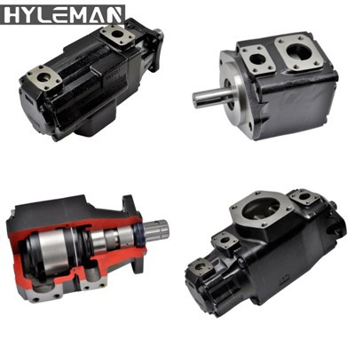 T6GCCT67GCBT7GBB Cyfres Pwmp Vane Sefydlog