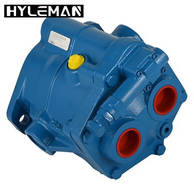 Pwmp Piston Echelinol Dadleoli Amrywiol